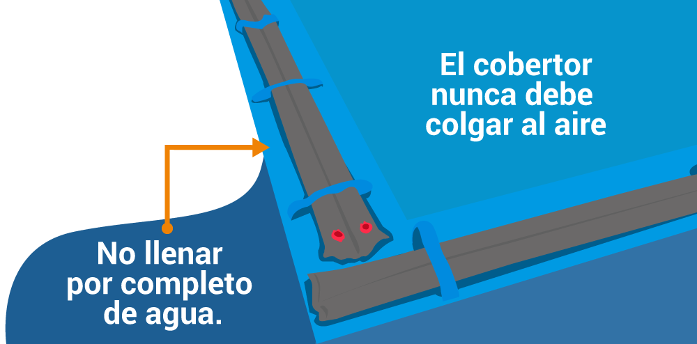 bolsas