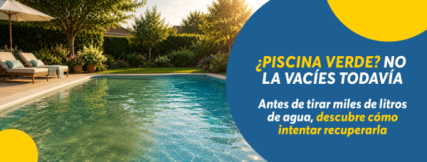 Piscina verde en verano: qué hacer antes de vaciar el agua y empezar de cero
